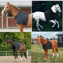 1pc Elastic Horse Rug With Shoulder Guard, Anti-Rub. Horse Fly Sheet For Outdoor Riding, Mosquito Proof - Multicolor - View 7
