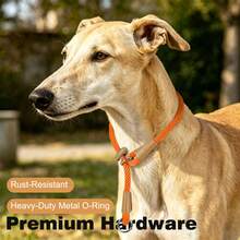 1pc Portable P-Rope Dog Collar, Adjustable Round Rope Slip Collar, Suitable For Small, Medium And Large Dogs, Anti-Choke, Durable Dog Neck Collar - Orange - View 4