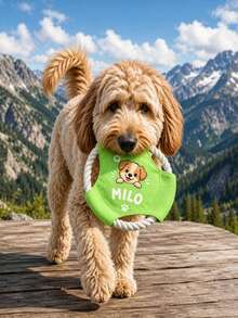 Customizable Pet Name , Dog-Specific Durable Bite-Resistant , For Teeth And Mouth, Suitable For Puppies And Adult Dogs, Outdoor Dog Walking Interactive Tug Training Disc, Suitable For Small Dogs, Large Dogs, Border Collies - Multicolor - View 3