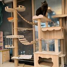 1pc Hanging Rope Cat Ladder For Playing, Climbing And Scratching, Cat Wall Soft Ladder, Length 50cm/100cm, Natural Pine Wood, Sturdy And Durable, Max Load 12kg (26lb) - Apricot - View 2