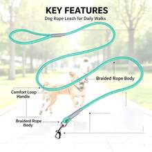 1pc Aesthetic Multi-Color Dog Leash, 59-Inch Bright Woven Nylon Pet Walking Rope, Heavy-Duty Durable Training Leash, Suitable For Small And Medium Dogs - Mint Blue - View 5