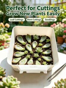 1pc Square Succulent Pot, Plastic Material Washable And Shatter-Resistant, Multi-Purpose Indoor Home Gardening Plant Propagation And Seedling Tray - A - View 7