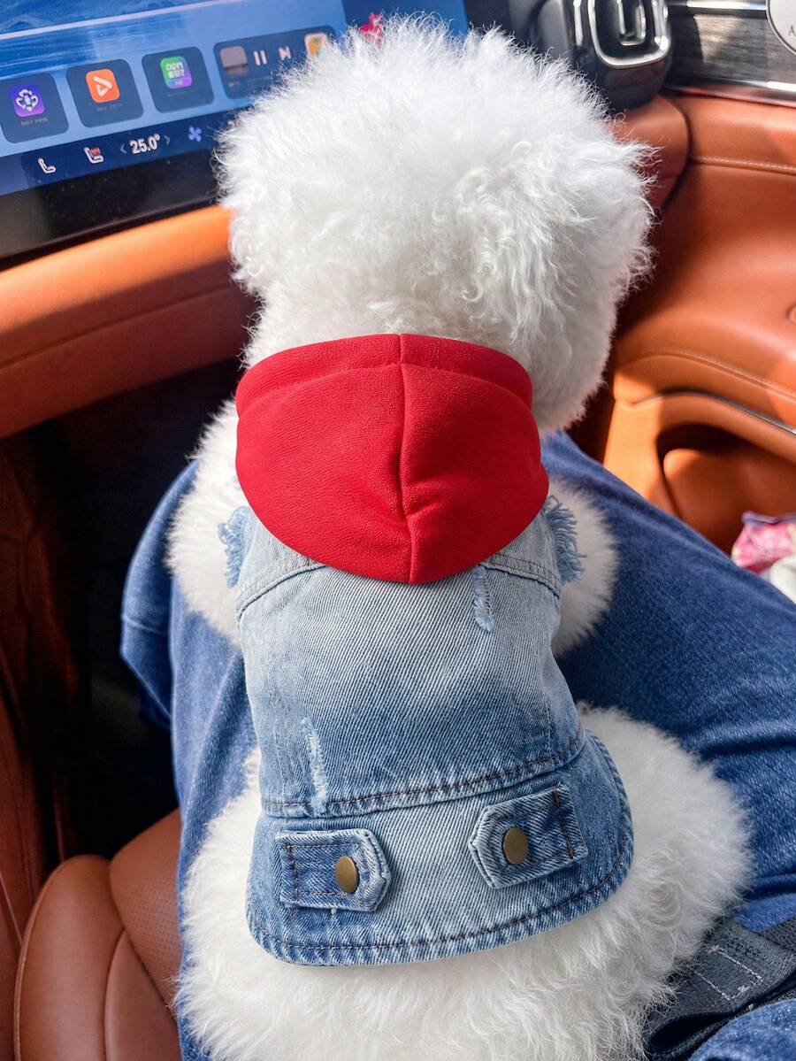 PETCIRCLE 1PC Pet Clothes Small Dog Puppy Cat Cute Pet Sleeveless Distressed Vintage Durable Hooded Stylish Outerwear - Red Hat - Multicolor - View 1