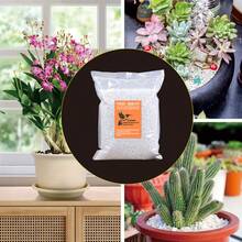 Perlite - High Quality Expanded White Perlite, Used As Potting And Flower Arrangement Material, Vase Filling Material, And Also An Important Material For Seedling Cultivation, Horticulture, Orchids, And Construction Industries - 2.0L - View 2