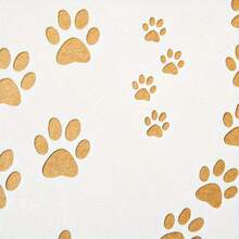 DIY Template With Dog Paw And Bone Patterns, Suitable For Scrapbooking, Painting, And Embossing – Ivory Craft Template, Designed For Back-To-School Season - Claw Mark - View 6