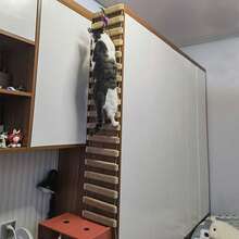 1pc Hanging Rope Cat Ladder For Playing, Climbing And Scratching, Cat Wall Soft Ladder, Length 50cm/100cm, Natural Pine Wood, Sturdy And Durable, Max Load 12kg (26lb) - Apricot - View 8