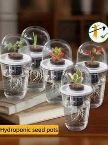 10pcs - Hydroponic Planting Pots, Transparent Cylindrical Plastic Planting Pots - Hydroponic Planting Set, High Transparency Hydroponic Cups, Transparent Design For Easy Root Growth Observation, Perforated Design To Promote Ventilation And Prevent Root Suffocation, Suitable For Hydroponic Plant Propagation, Can Be Used As Office, Home Or Garden Decor. - A - View 2