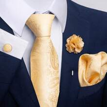 AlanKing Paisley Men's Tie Set, Perfect For Parties And Proms - Multicolor - View 10