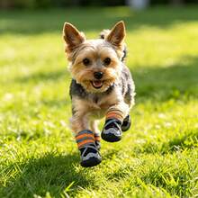 4Pcs Dog Shoes For Small Dogs, Wear‑Resistant Rubber Sole Puppy Boots, Strong Sticky Hook‑And‑Loop Closure, Paw Protector For Rainy Snowy Summer Hot Ground, For Outdoor Walking - Multicolor - View 6