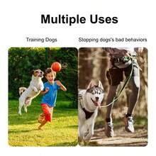 Compact And Lightweight Dog Training Whistle, Adjustable Tone, Clear And Pleasant Sound, Pet Training Device, Can Mimic Pigeon Calls, Suitable For Dogs And Pigeons - Multicolor - View 4