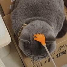 Retractable Realistic Hand Pet Scratching Toy Mimics Owner's Touch Cat Teaser Wand Fun Grooming Brush - Multicolor - View 1