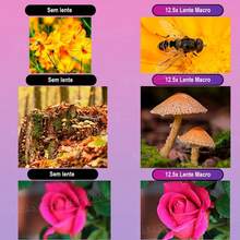 Phone Lens - ouro-rosa - Ver 9