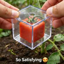 Shaping Growth Mold, Styling Cultivator, Planting Shaping Tool, Square Unique Shape Plant Growth Mold - Multicolor - View 1