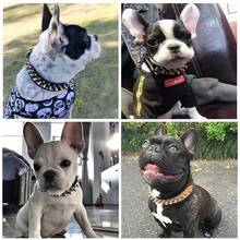 IDestry Adjustable Leather Dog Collar, PU Leather Punk Rivet Spike Dog Collar, Suitable For Small, Medium, Large Dogs And Cats, Adjustable Leather Pet Dog Collar Neckband - Multicolor - View 7