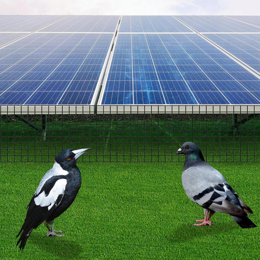 YUNRUX Black PVC‑Coated Solar Panel Bird Guard, 100Ft*6In Iron Mesh Protector With Fastener Clips For Bird Rodent Deterrent - B - View 1
