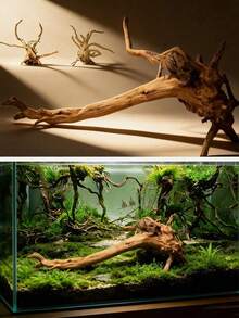 Natural Driftwood, Suitable For Reptile And Aquatic Pet Breeding Boxes, Fish Tanks, And Aquarium Decorations. Shapes Are Shipped Randomly And Vary, So Please Order With Caution - Multicolor - View 9