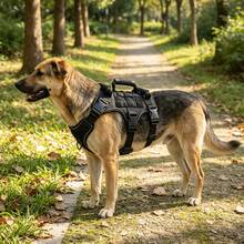 Virellio Black Reflective Tactical Dog Harness, Breathable Nylon Mesh Adjustable Vest With D‑Ring Handles For Medium Large Outdoor Working Dogs - Black - View 2