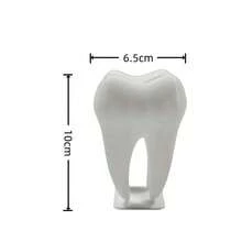 1pc Gold & White Tooth-Shaped Storage Rack, Dental Clinic Desktop Decor, Oral Hospital Reception Business Card Holder, Creative Home Ornament, Home Gift - Multicolor - View 10