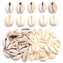 40g/Pack White Sliced Shells, Straight Hole Shells, Straw Woven Clothing Accessories, Handmade Beaded DIY Necklace, Bracelet, Pendant, Jewelry Making Beads (Approx. 23-85 Pcs) - Shell Beads - View 8