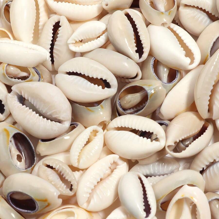 40g/Pack White Sliced Shells, Straight Hole Shells, Straw Woven Clothing Accessories, Handmade Beaded DIY Necklace, Bracelet, Pendant, Jewelry Making Beads (Approx. 23-85 Pcs)