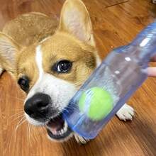 1pc Random Color Durable Dog Chew Toy, Thermoplastic Squeaky Toy Suitable For Medium Dog Breeds, Solid Color Pattern Helps Dental Health, Battery-Free Interactive Pet Toy - Multicolor - View 6