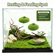 Jumping Spider Lawn Play Platform, Jumping Spider Green Artificial Moss Rock, Climbing Feeding Platform, Small Spider Habitat Accessory, Jumping Spider Fence, Perfect Habitat For Climbing Pets And Insects. Can Be Used As A Spider Climbing Feeding And Platform Decoration Accessory, For Climbing, Resting And Exploring - View 2