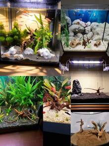 Natural Driftwood, Suitable For Reptile And Aquatic Pet Breeding Boxes, Fish Tanks, And Aquarium Decorations. Shapes Are Shipped Randomly And Vary, So Please Order With Caution - Multicolor - View 7