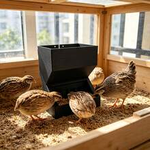 Adult Quail/Chicks Hanging Feeder, Anti-Spill Anti-Scratch Automatic Feeding Trough, Can Store Fixed Amount Of Food, Ideal Feeding Tool - Black - View 10