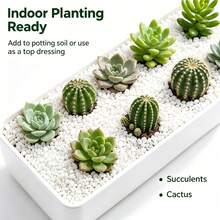 1g 0.3-3cm Perlite Horticultural Seedling Potting Soil, Garden Soil Amendment, Water Retention & Breathability - Multicolor - View 5
