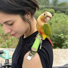 Parrot Metal Clip Perch/Shoulder Roosting Play Stand/Colorful Rope Wrapped Wooden Stick/Bird Interaction Training Stand/Random Clip On Sleeve/Collar/Hair/Anti-Scratch Portable Parrot Stand/Convenient To Carry And Store/Stable And Non-Falling/Bird Pe - 1pc Training Hoop - View 10