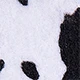 Black and White Cow Print