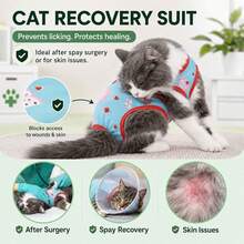 1pc Cat Post-Surgery Recovery Vest, Suitable For Abdominal Wound Protection, Prevents Licking Wounds, Full Print Design, Cat Home Wear Cat Pajamas, Suitable For Large, Medium And Small Cats, All Seasons - Baby Blue - View 4