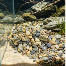 Natural Pebble Stones, Decorative Small Stones For Aquarium, Amphibian Reptile Habitat, Aquatic Plant Substrate, Aquarium Substrate, Aquarium Bottom Material - View 6
