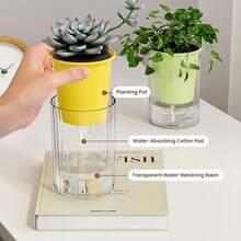 2pcs Multicolor Double Layer Self-Watering Planters, Indoor Desktop Hydroponic Pots, Modern Decorative Planters, Office Home Decor Planting Pots, Suitable For Indoor Plants, Succulents - New Model - View 8