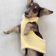 1pc WarmPlaidPetBellyGuardVest,SoftFleeceLinedHighCollarPuppySleevelessOutfitForSmallMediumDogsDachshundDailyWear - Yellow - View 2