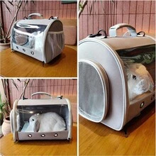 Transparent TPU Portable Travel Backpack – 1 Pet Carrier, Suitable For Hamsters, Rabbits, Lizards And Small Animals - Grey - View 12