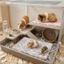 1pc Star Print Super Soft Small Pet Mat, Fleece Flannel Warm Pet Bed Pad, Comfortable Cozy Pet Sleeping Bed, Suitable For Hamster, Guinea Pig, Rabbit, Hedgehog, Autumn/Winter Season Small Pet Cage Accessory - View 7