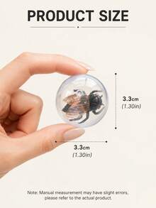 1pc Transparent Realistic Insect Cat Toy, Interactive Rolling Ball For Cats, Self-Play Boredom Relief & Exercise Toy, Encourages Chasing & Satisfies Natural Hunting Instincts - Multicolor - View 2