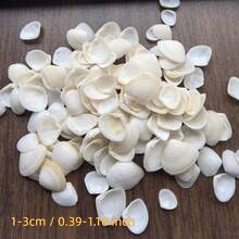 50g/100g/150g Cangkang Kerang Almond Putih Susu Gaya Laut (Cangkang Kerang Segitiga) Bahan DIY Cangkang Kerang Segitiga Alami, Cocok Untuk Dekorasi Akuarium Lanskap Mikro, Lonceng Angin Gaya Mediterania, Pembuatan Bingkai Foto, Aksesoris Dekorasi, Suvenir Buatan Tangan, Bahan DIY Seri Gaya Laut Buatan Sendiri yang Indah, Dekorasi Dinding Cangkang yang Berwarna-warni dan Menawan. - Mengatur - View 3