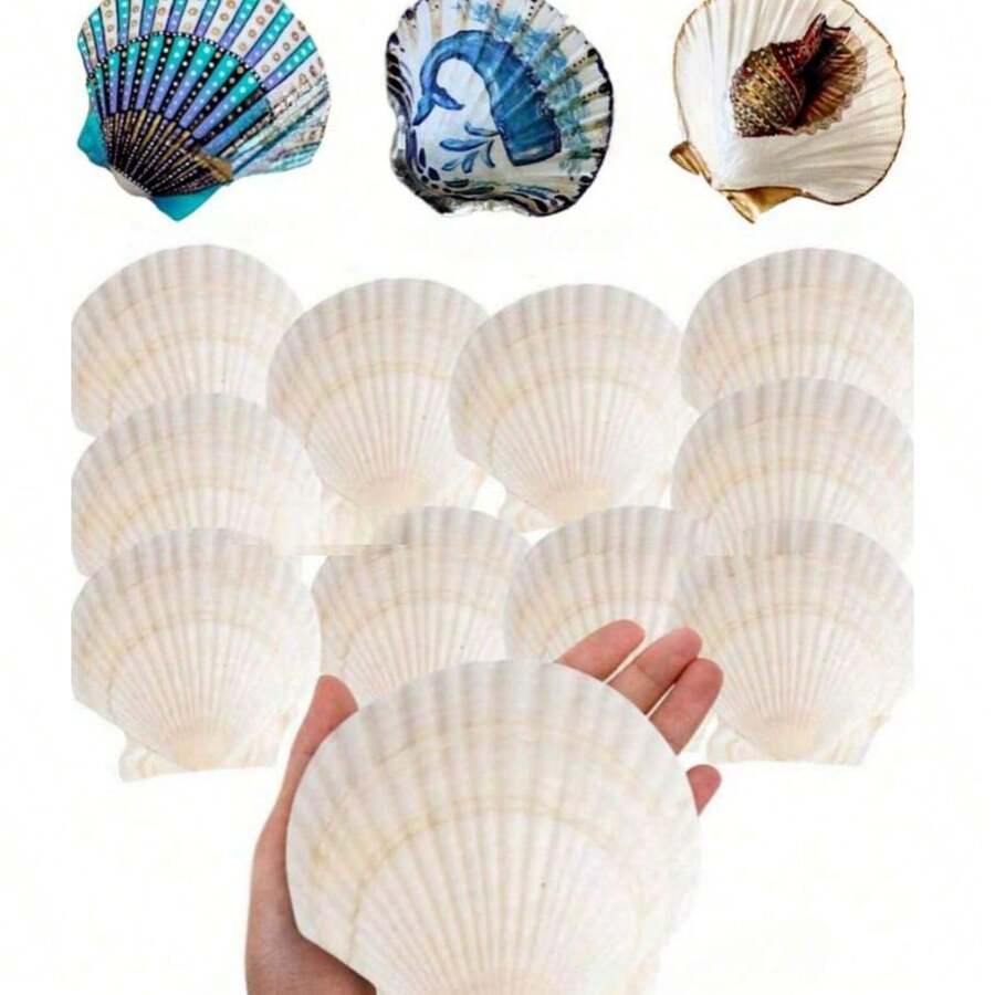 5/10 Large Natural Fan-Shaped Shells, Suitable For DIY Painting In Handicrafts, Jewelry Making, Home Decoration, Photography Props, And Wedding Decoration Gifts. Dimensions: 7-8 Cm / 2.75-3.15 Inches - A - View 1