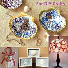 5/10 Large Natural Fan-Shaped Shells, Suitable For DIY Painting In Handicrafts, Jewelry Making, Home Decoration, Photography Props, And Wedding Decoration Gifts. Dimensions: 7-8 Cm / 2.75-3.15 Inches - A - View 5