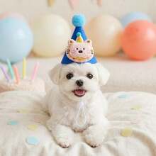 Handmade Blue Felt Pet Birthday Crown, Embroidered Cat Applique & Fluffy Pom Pom Party Cone Hat, Adjustable Pet Photo Prop, Suitable For 1st Birthday, Holiday Cat & Dog Costume, Premium Pet Accessory, Best Gift For Pet Lovers - Multicolor - View 9