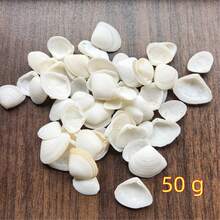 50g/100g/150g Cangkang Kerang Almond Putih Susu Gaya Laut (Cangkang Kerang Segitiga) Bahan DIY Cangkang Kerang Segitiga Alami, Cocok Untuk Dekorasi Akuarium Lanskap Mikro, Lonceng Angin Gaya Mediterania, Pembuatan Bingkai Foto, Aksesoris Dekorasi, Suvenir Buatan Tangan, Bahan DIY Seri Gaya Laut Buatan Sendiri yang Indah, Dekorasi Dinding Cangkang yang Berwarna-warni dan Menawan. - Mengatur - View 8
