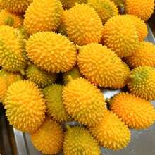Crunchy Durian Squishy Fidget Squeeze Toy, Unique Spiky‑Textured Fruit Shaped Hand Toy, Novelty Realistic Durian Design Handheld Entertainment Toy, Creative Interesting Party Favor Desktop Decor, Funny Novelty Sensory Hand Play Toy For Daily - Multicolor - View 9