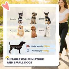 3 Wheel Pet Stroller Small And Miniature Dogs, Black On-Site - 1 - View 4