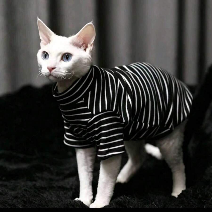 1pc German Sphynx Hairless Kitten Teddy Fleece Warm Striped Two-Legged Outfit, Multiple Colors, Autumn/Winter - Black and White - View 1