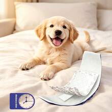 10pcs Pet Training Pads Dog Pee Pads, Highly Absorbent, Disposable Pet Urine Pads, Suitable For Puppies, Small Dogs, Indoor Training, Disposable Pee Pads, Suitable For Teddy/Cats/Golden Retrievers/Labradors And Other Pets, Gift For Cat And Dog Lovers - one-size - View 3
