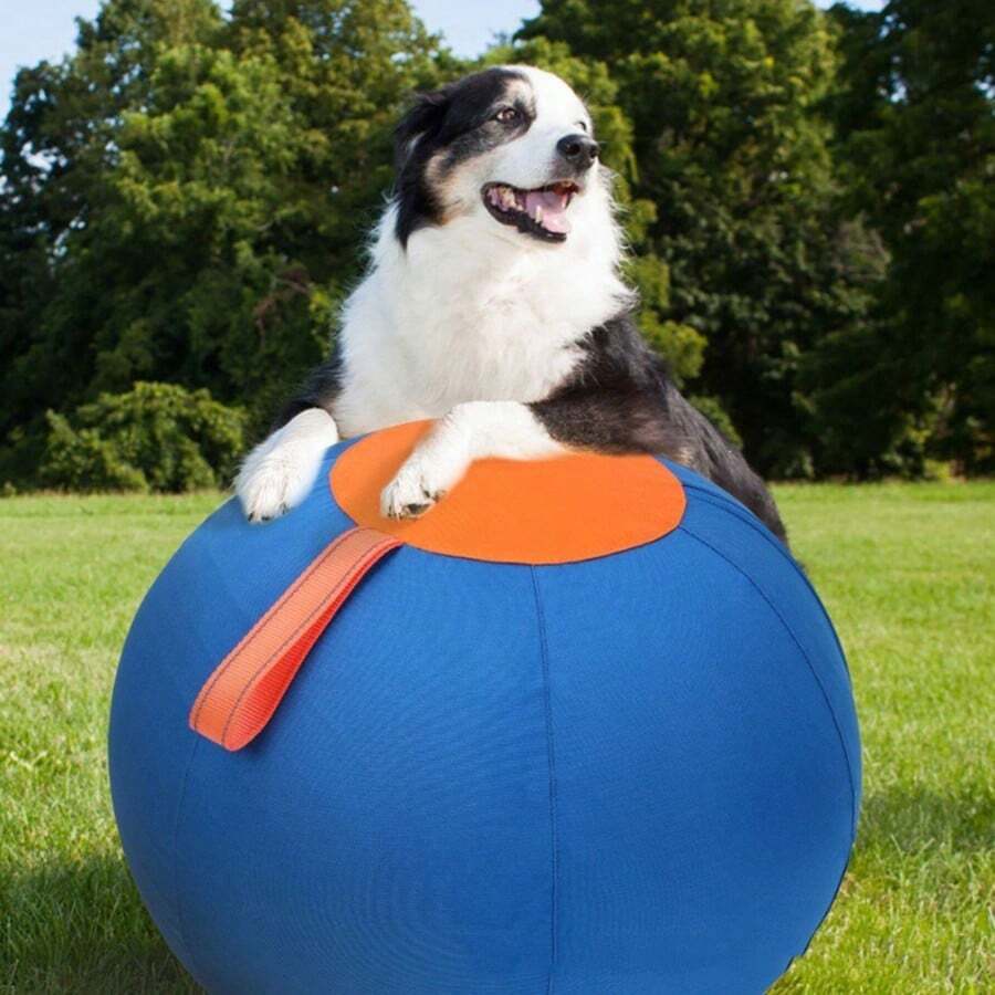 Bola de Brinquedo para Animais de Estimação para Ovelha, Cavalo, Cachorro, Border Collie, Golden Retriever, Corgi, Cachorro Grande, Bola Saltitante, Brinquedo de Mastigar Durável, Bola para Alívio do Tédio - Azul - Visão 1