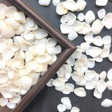 50g/100g/150g Cangkang Kerang Almond Putih Susu Gaya Laut (Cangkang Kerang Segitiga) Bahan DIY Cangkang Kerang Segitiga Alami, Cocok Untuk Dekorasi Akuarium Lanskap Mikro, Lonceng Angin Gaya Mediterania, Pembuatan Bingkai Foto, Aksesoris Dekorasi, Suvenir Buatan Tangan, Bahan DIY Seri Gaya Laut Buatan Sendiri yang Indah, Dekorasi Dinding Cangkang yang Berwarna-warni dan Menawan. - Mengatur - View 2