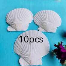 5/10 Large Natural Fan-Shaped Shells, Suitable For DIY Painting In Handicrafts, Jewelry Making, Home Decoration, Photography Props, And Wedding Decoration Gifts. Dimensions: 7-8 Cm / 2.75-3.15 Inches - A - View 7